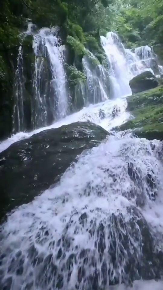 芭比的电影灵感